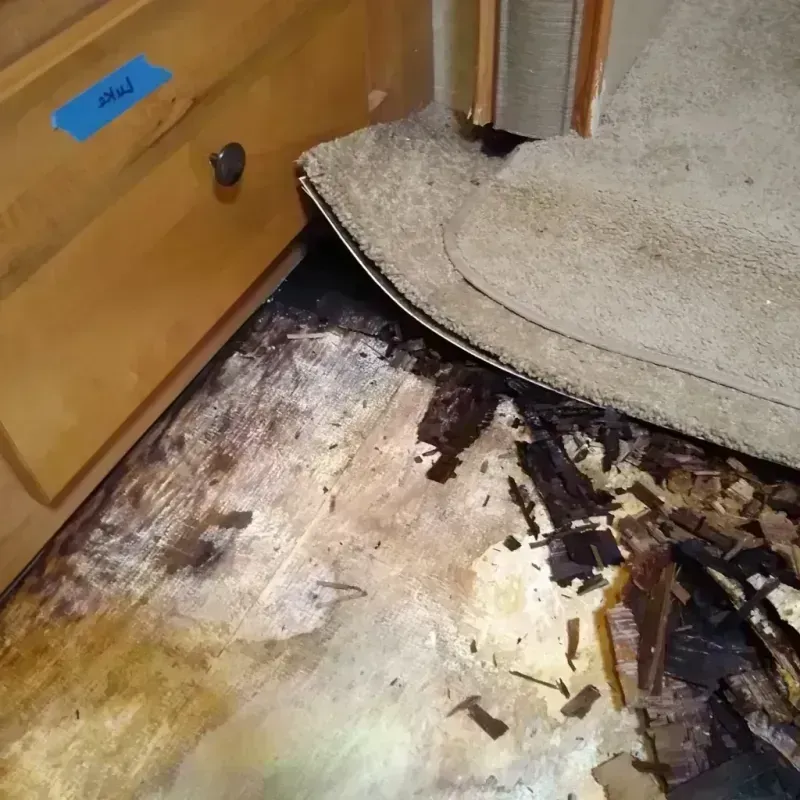 Wood Floor Water Damage in Cedar Hills, OR